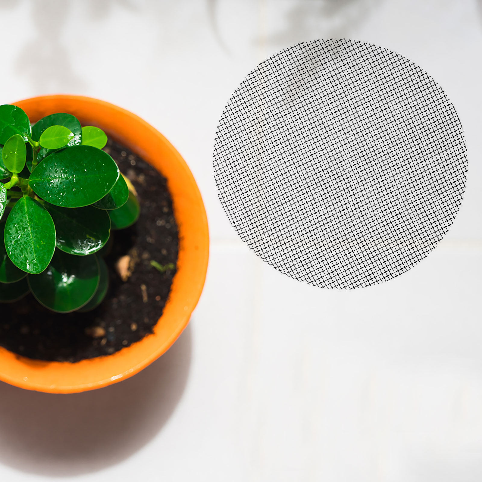 50 szt. okrągłych siatek drena – Bonsai Gardening recenzja i cena