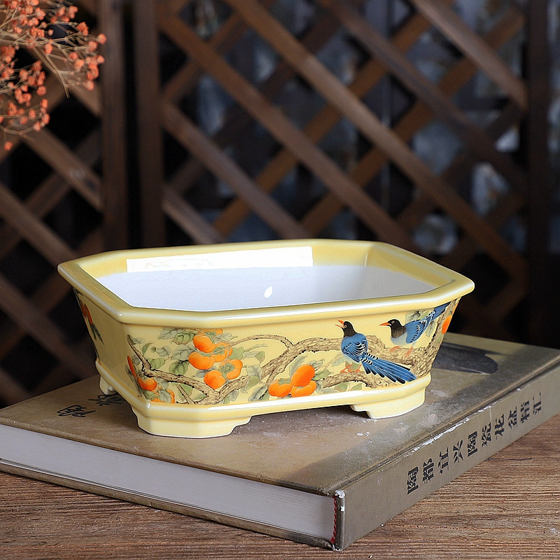 Porcelanowy prostokątny garnek – Bonsai Garden Table recenzja i cena