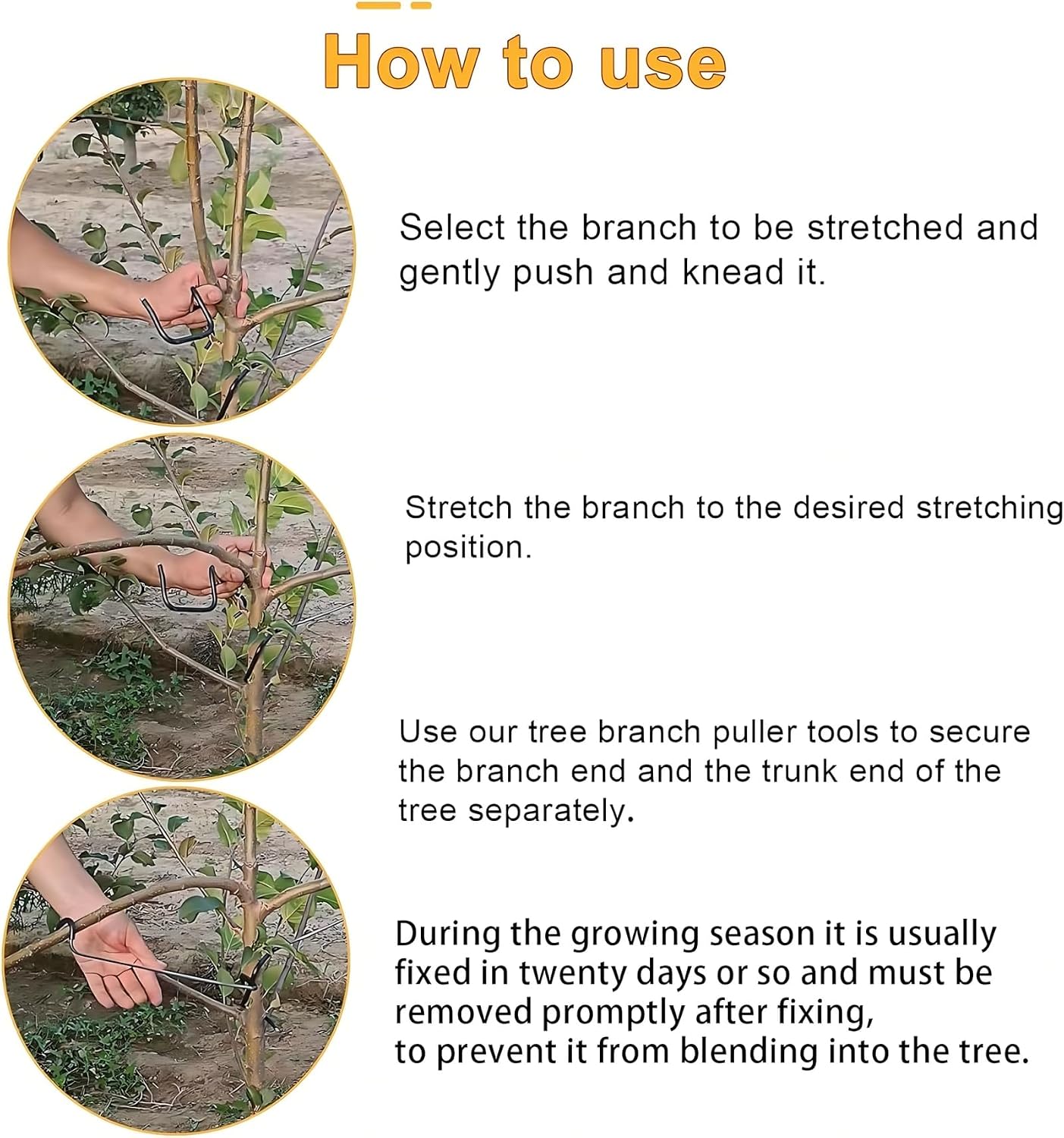 Regulowany przyrząd do kształt – Bonsai Gardening recenzja i cena