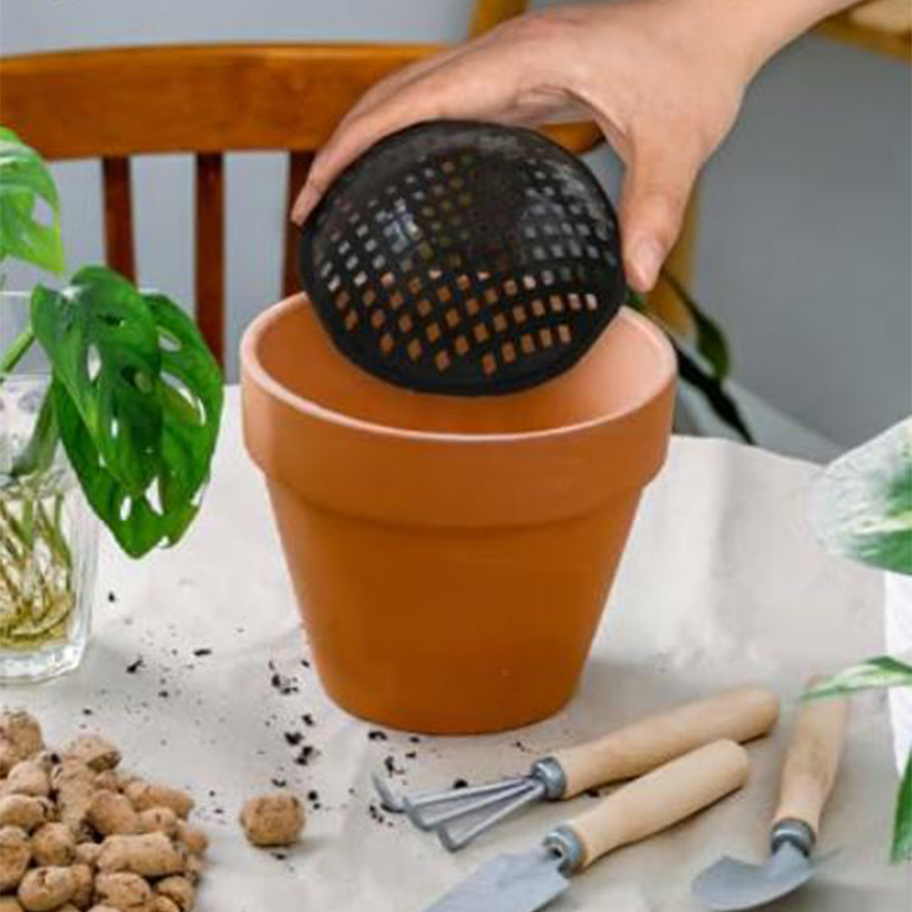 20/30 szt. Siatki do doniczek, – Bonsai Gardening recenzja i cena