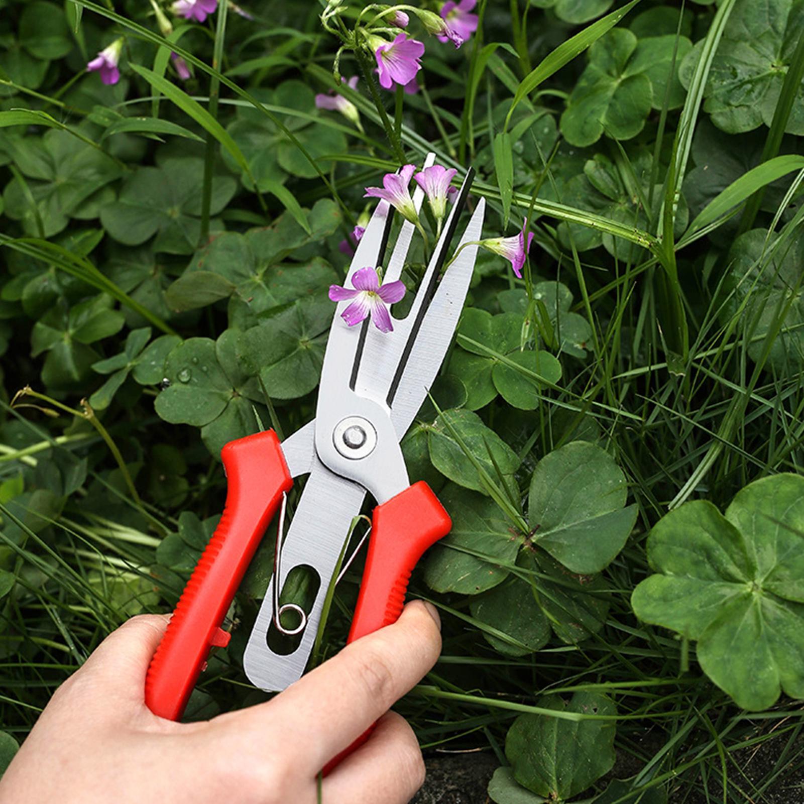 Sekatory ogrodowe ze stali nie – Bonsai Gardening recenzja i cena