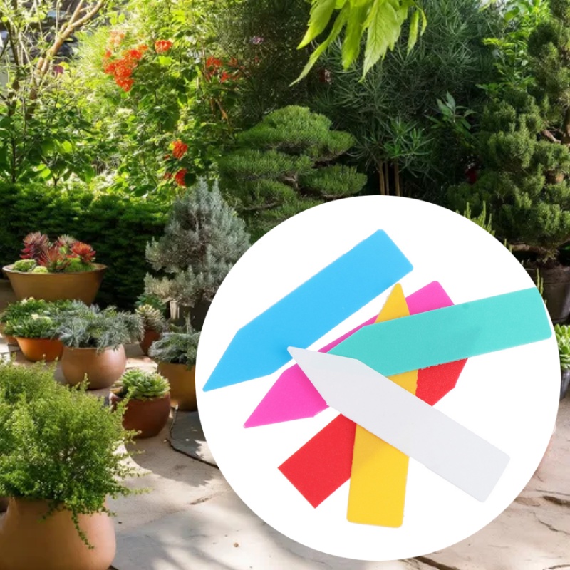 100 sztuk 5*1cm etykieta na ro – Bonsai Garden Name recenzja i cena