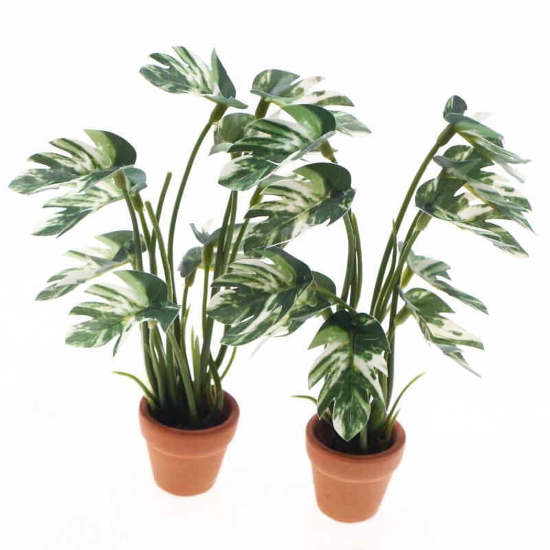 Nowy. 1 szt. 1/12 Symulacja ro – Bonsai Gardening recenzja i cena