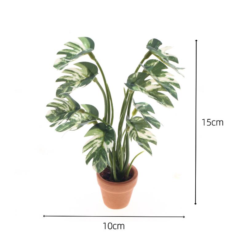 Nowy. 1 szt. 1/12 Symulacja ro – Bonsai Gardening recenzja i cena