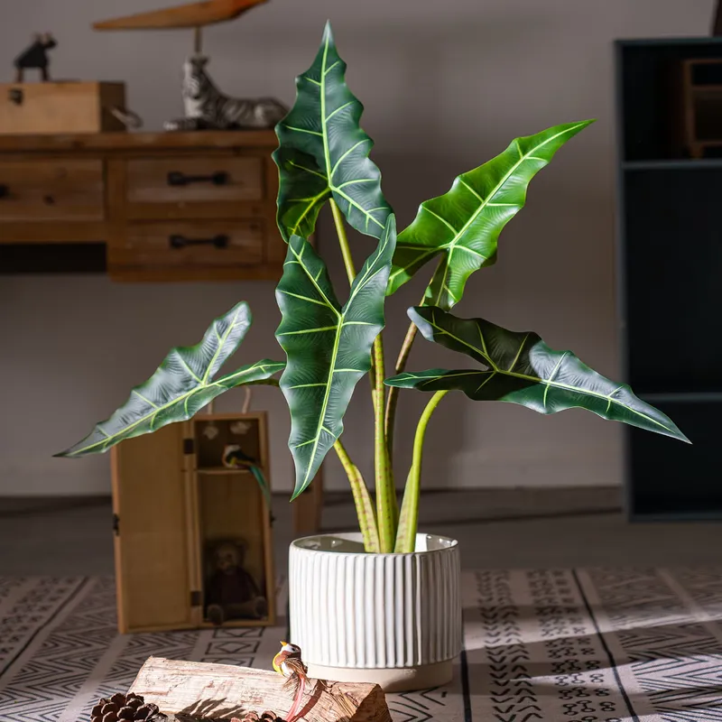 Gorąca Wyprzedaż Małe Bonsai S – Bonsai Garden For Sale recenzja i cena