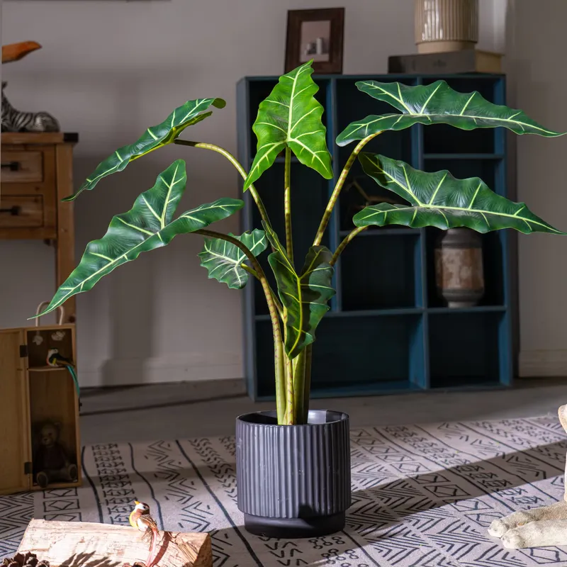 Gorąca Wyprzedaż Małe Bonsai S – Bonsai Garden For Sale recenzja i cena