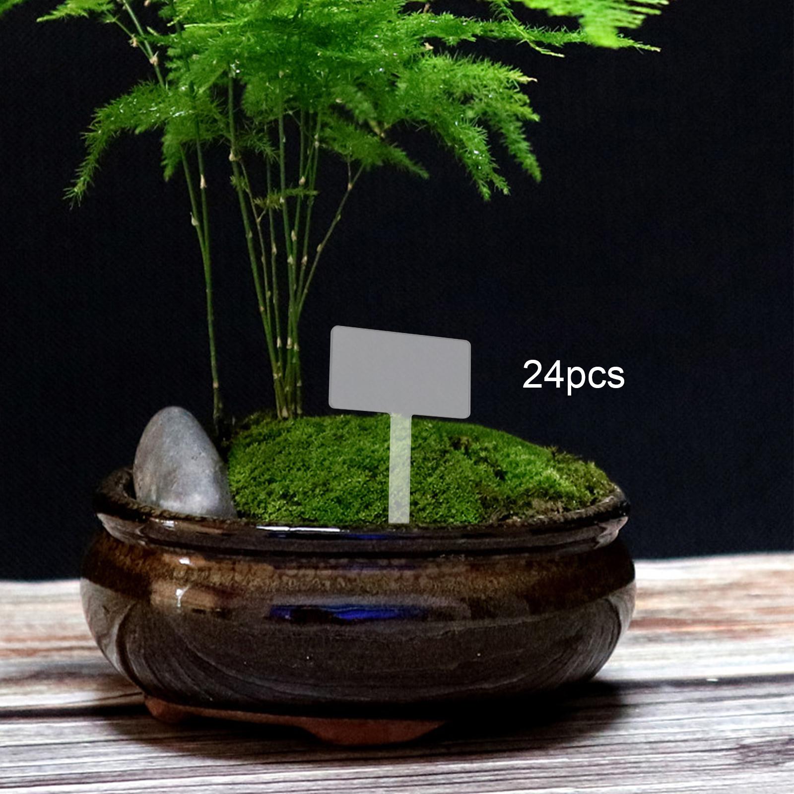 24x Akrylowe Etykiety do Rośli – Bonsai Garden Name recenzja i cena